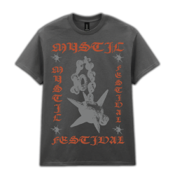 T-shirt morning star / grey